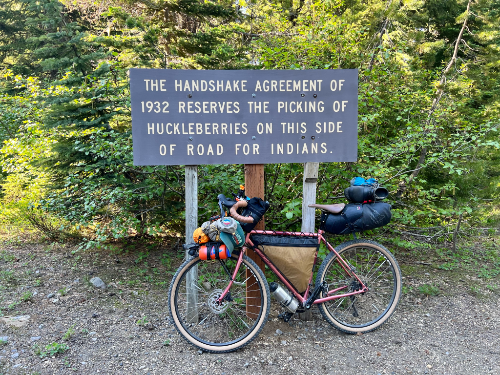 The Pink 'Rona outfitted for bikepacking in the Gifford Pinchot National Forest.