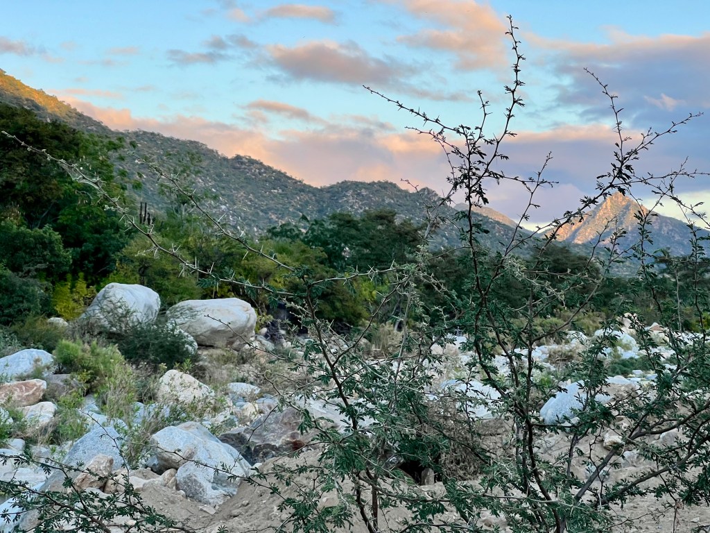 Day 2: San José del Cabo to the Sierra de la Laguna Mountains – 19.9 mi/32 km, +2270&nbsp;ft/692m