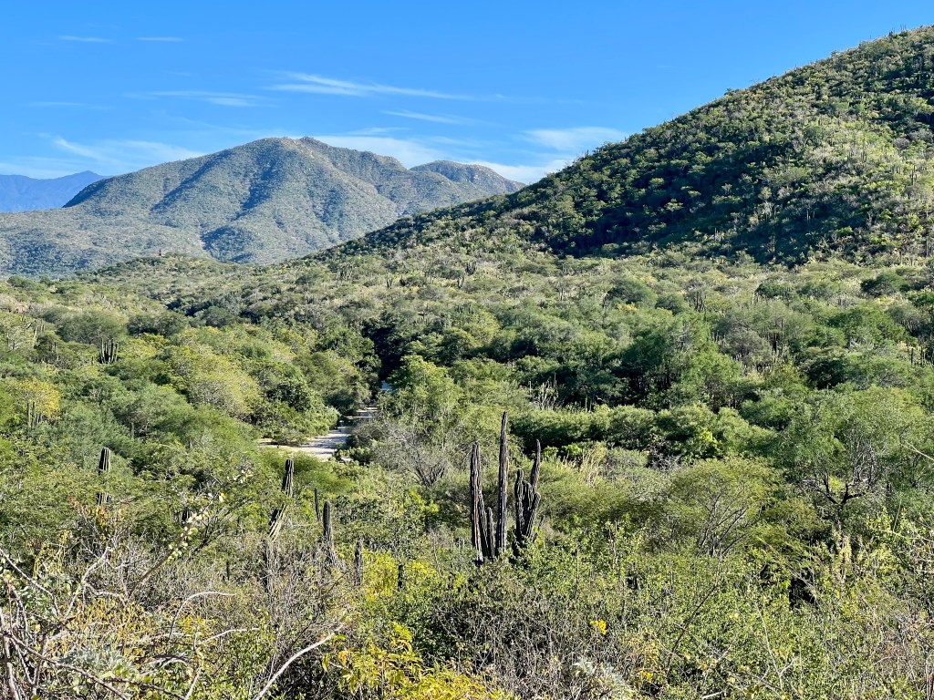 Day 5: Todos Santos to El Rosario – 33.2 mi / 53.4 km +2265 ft/ 690&nbsp;m